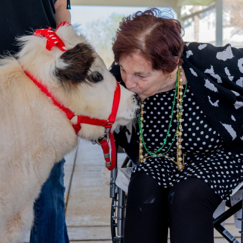 WhatsApp Image 2026-01-08 at 12.45.48 PM (3)