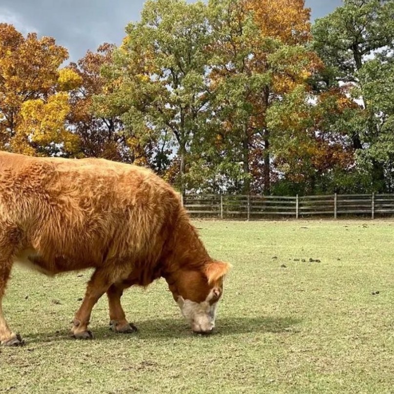 WhatsApp Image 2026-01-08 at 12.45.49 PM (1)