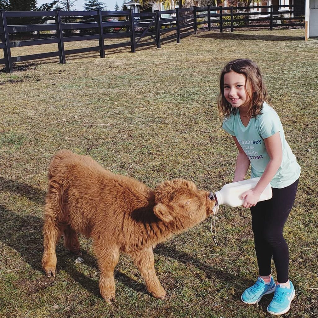 WhatsApp Image 2026-01-08 at 12.45.52 PM