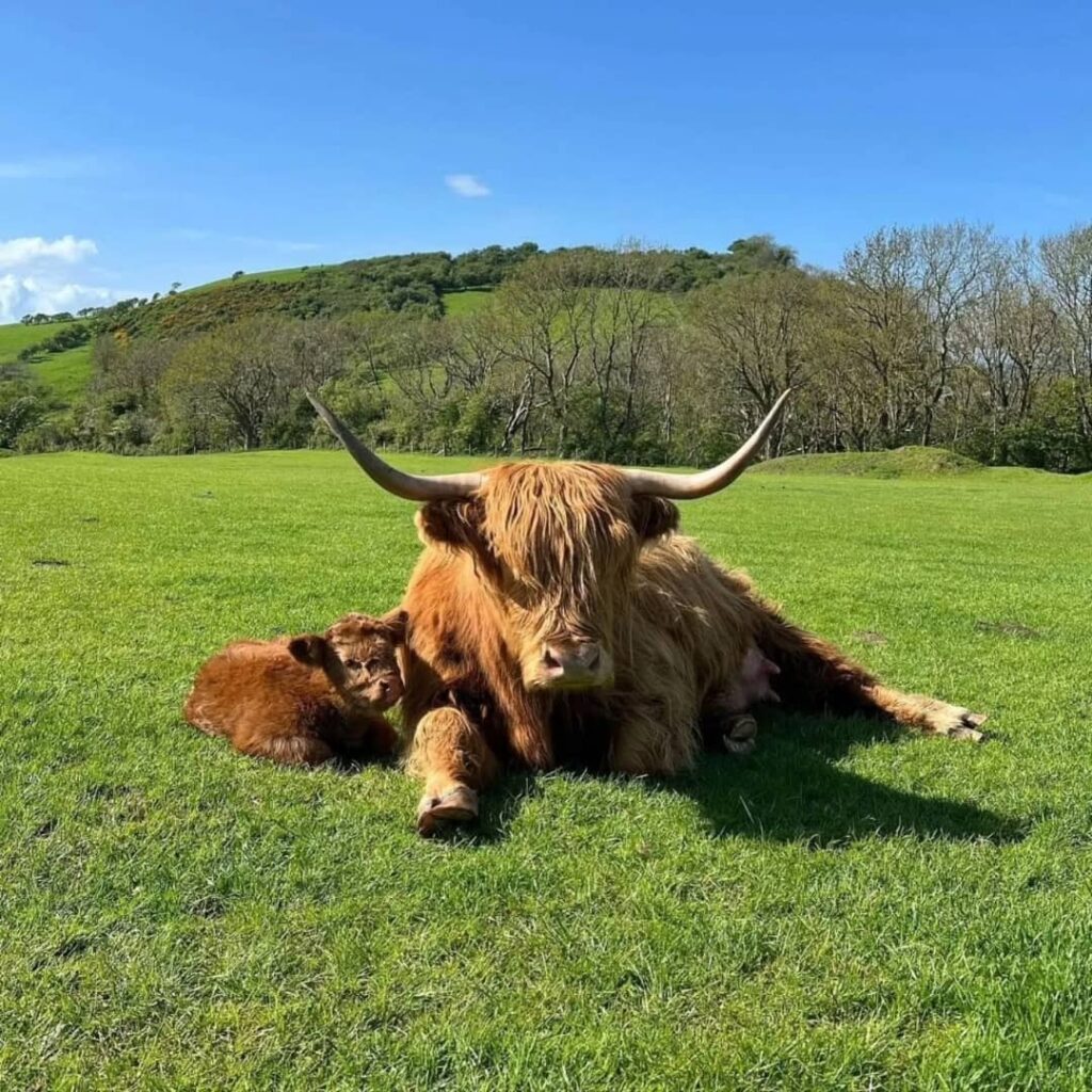 WhatsApp Image 2026-01-08 at 12.45.53 PM